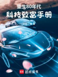 重生80年代：科技致富手册